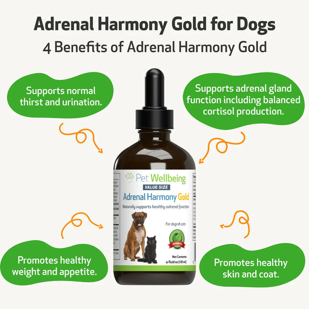 Adrenal Harmony Gold for Cushing's Disease in Dogs