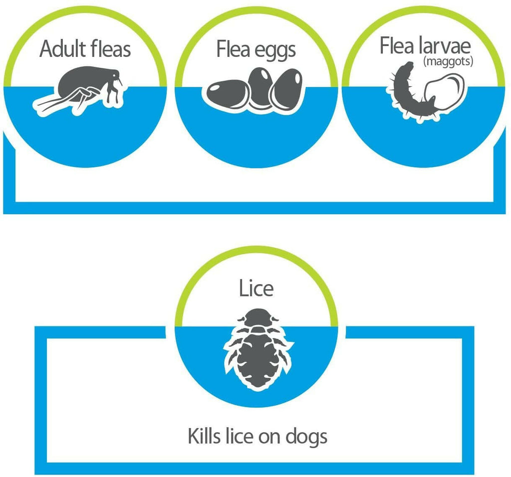 Advantage Flea & Tick Treatment Shampoo for Cats & Kittens (8 oz)
