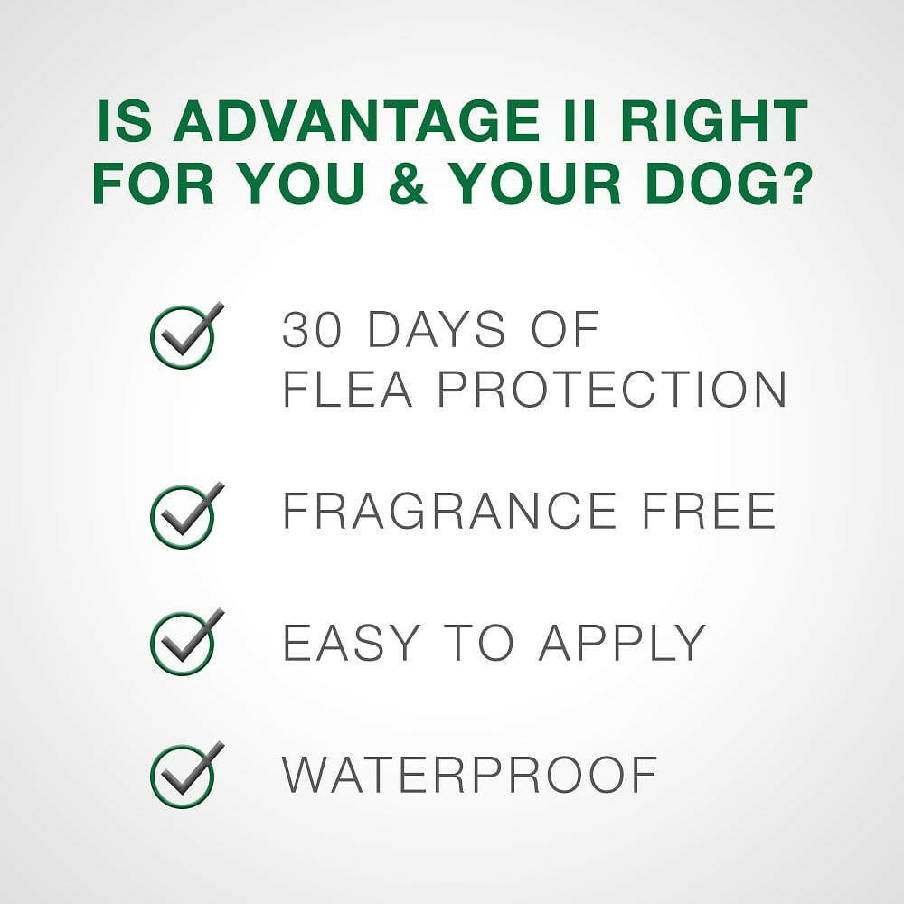 Advantage II Flea Control for Medium Dogs (11-20 lbs) Teal Box