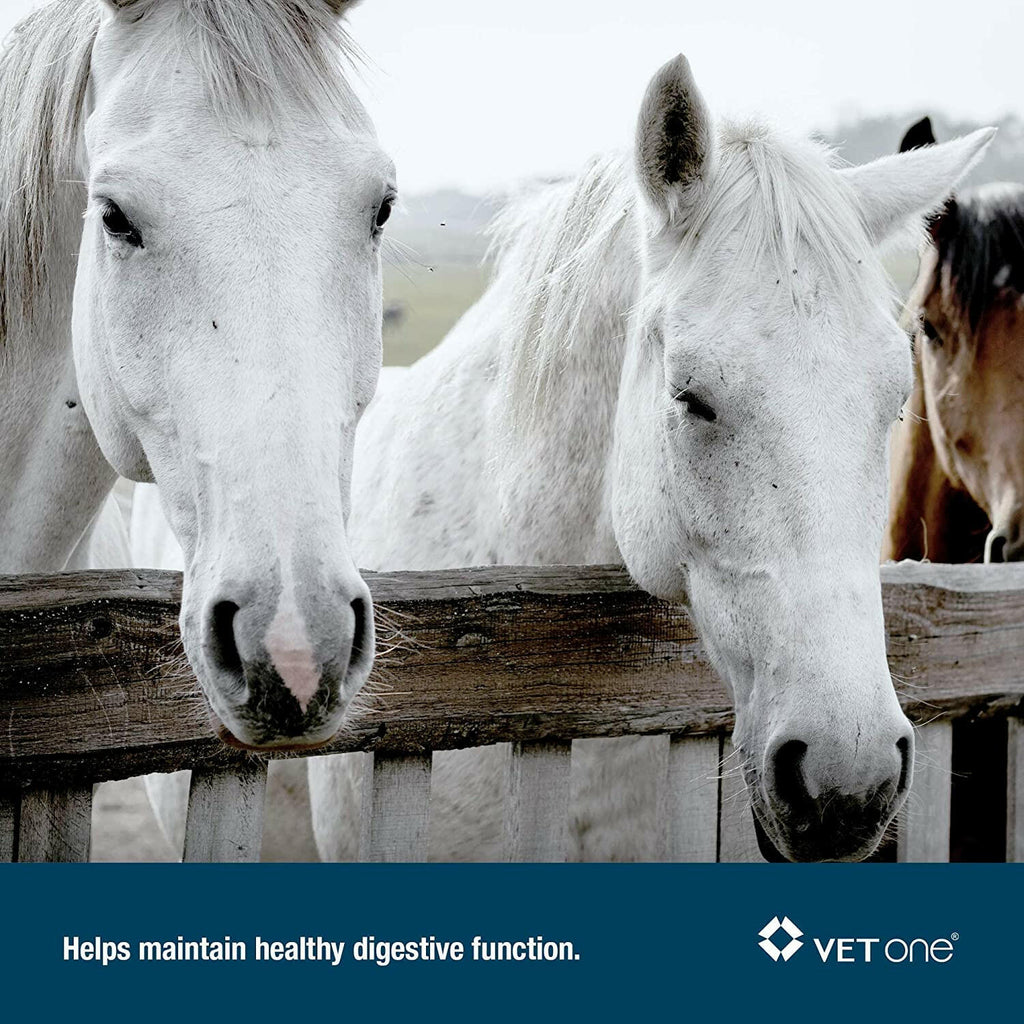 Advita Probiotic Paste for Horses (30g tube)