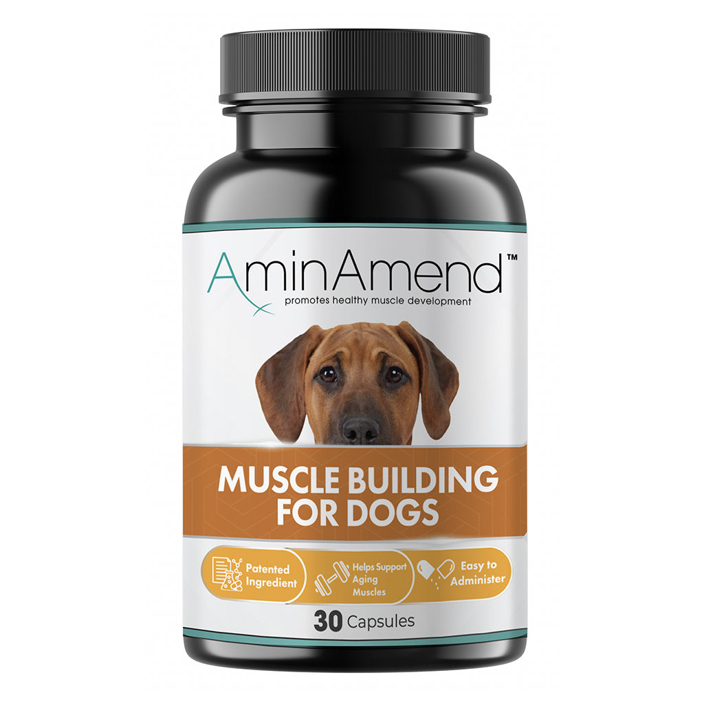 AminAmend Muscle Building for Dogs over 20 lbs, 30 capsules