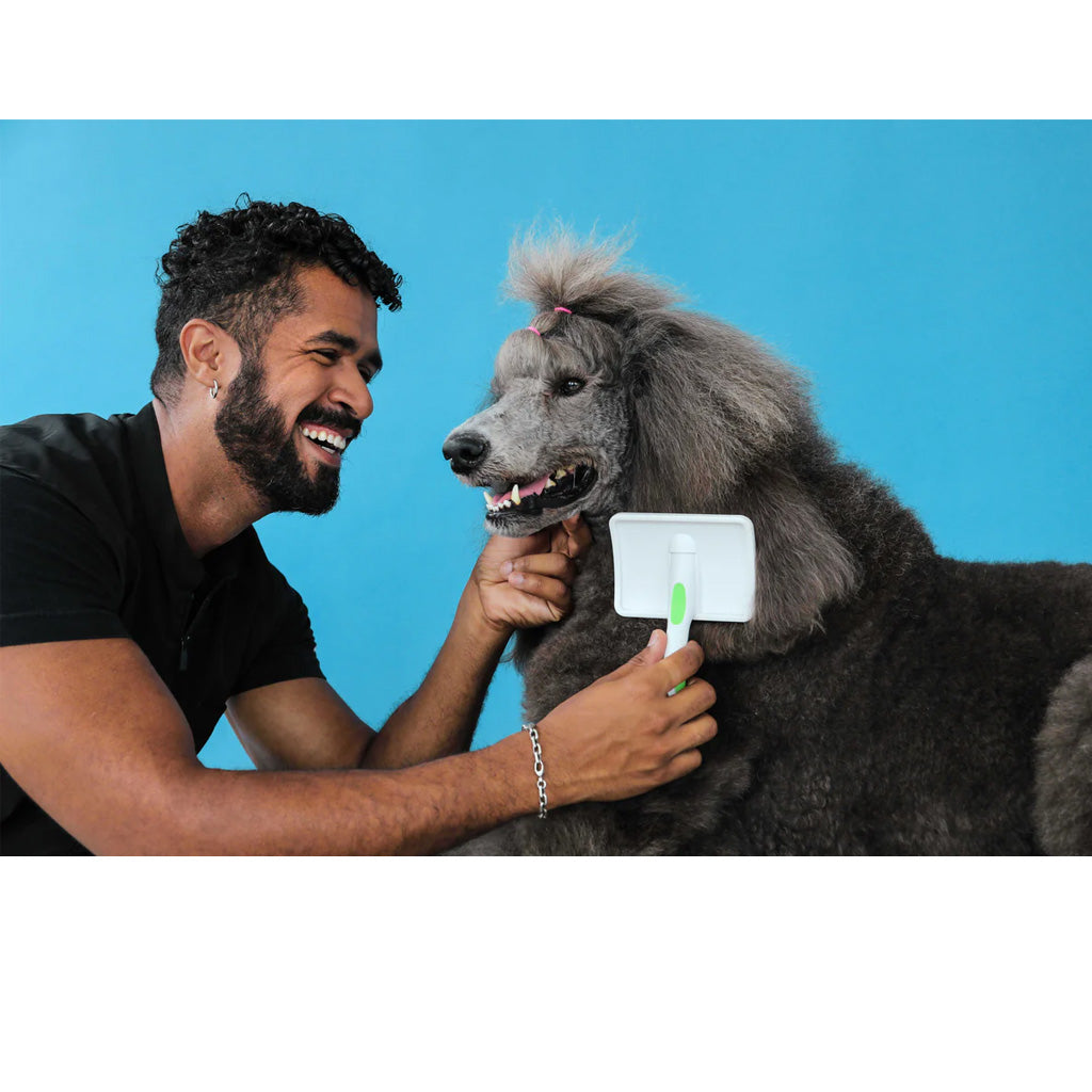 Andis Firm Slicker Dog Grooming Brush, Green/White