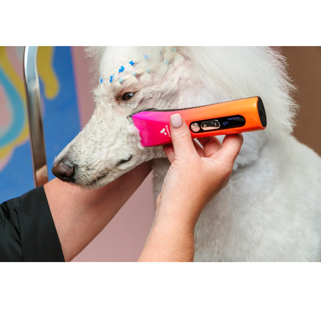 Andis ProClip 5-in-1 Clipper Sunset