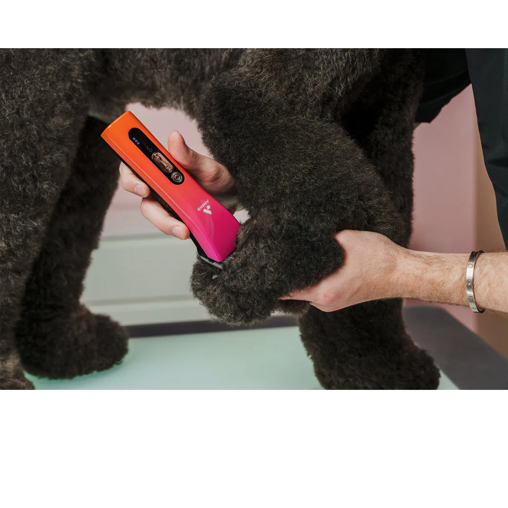 Andis ProClip 5-in-1 Clipper Sunset