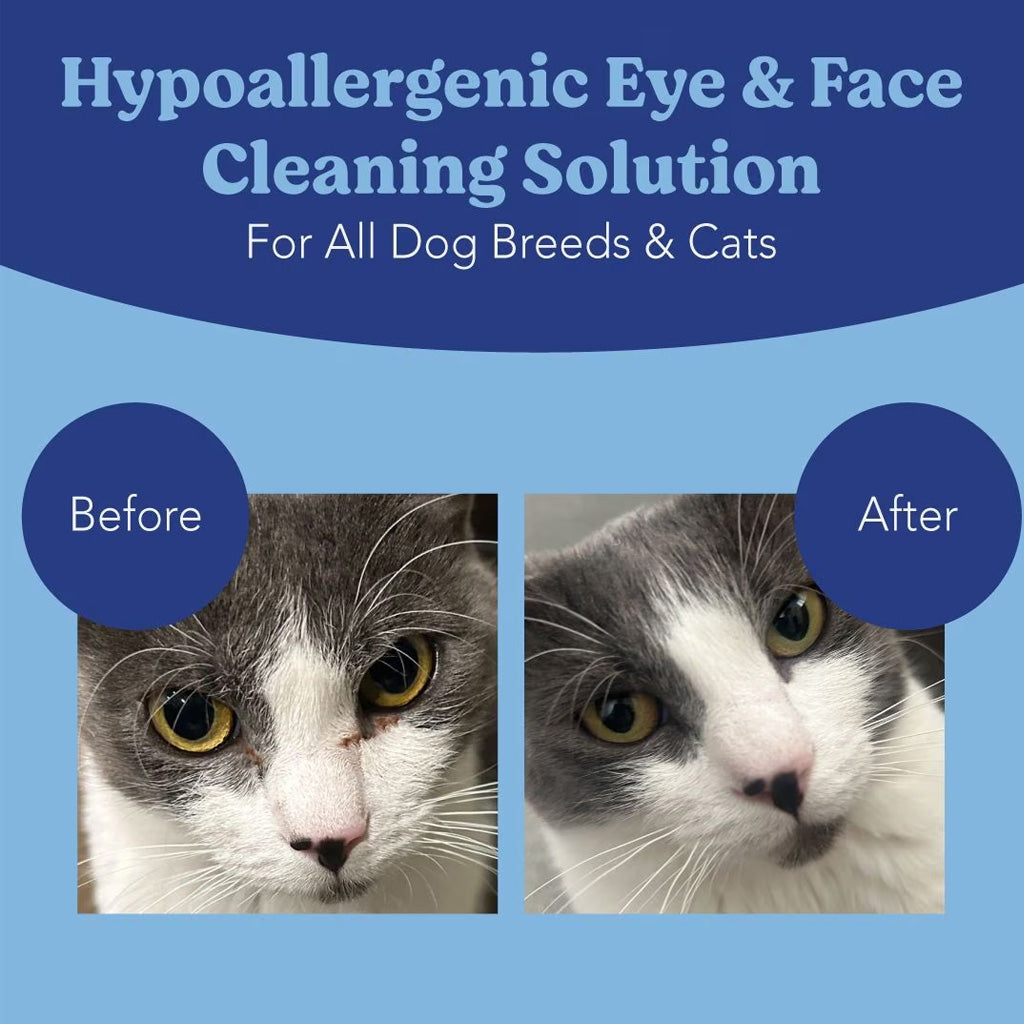 Angel's Eyes Face Eye & Paw Cleansing & Tear Stain Wipe for Dogs & Cats, 100 Count