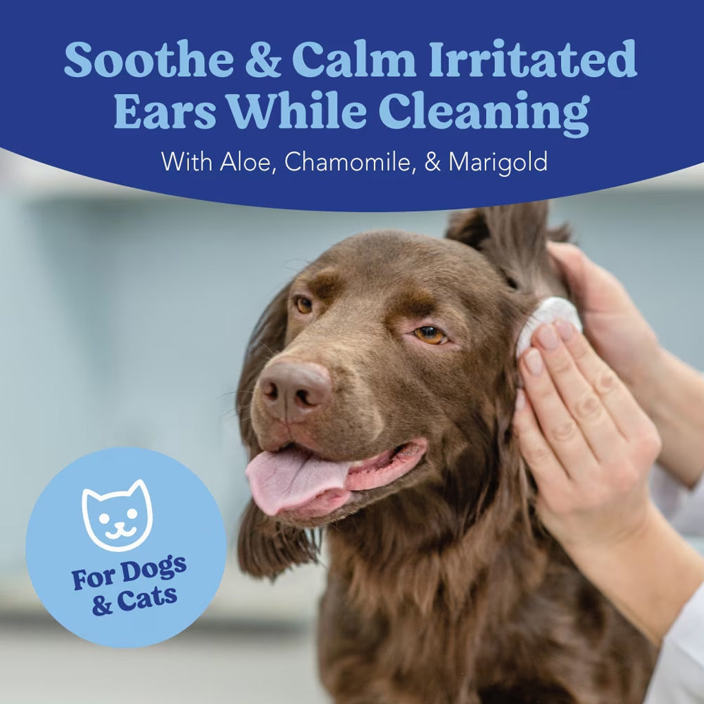Angel's Eyes Gentle Dogs Ear Cleaning Wipes for Dogs & Cats, 100 count