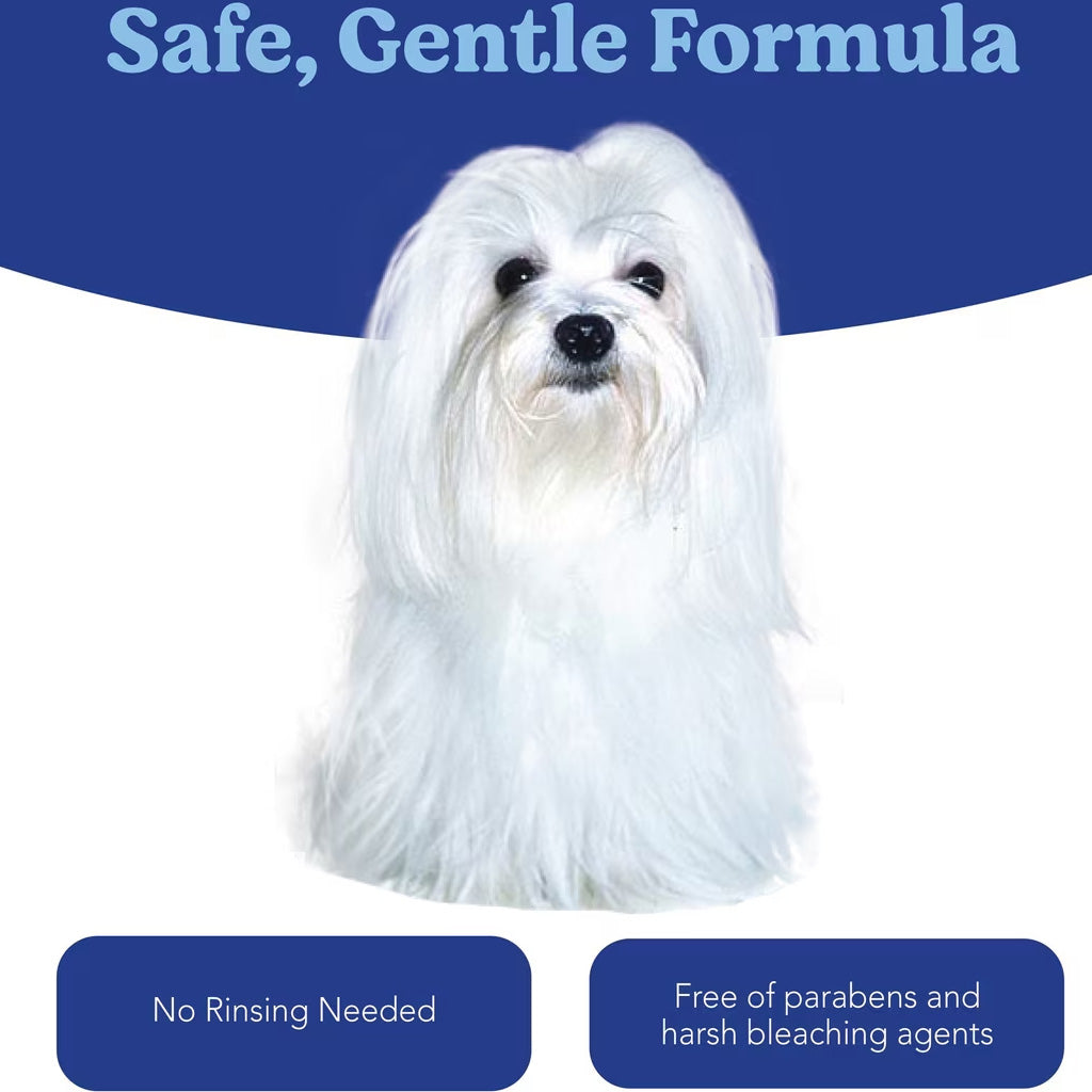 Angel's Eyes Gentle Tear Stain & Coat Solution for Dogs, 8-oz
