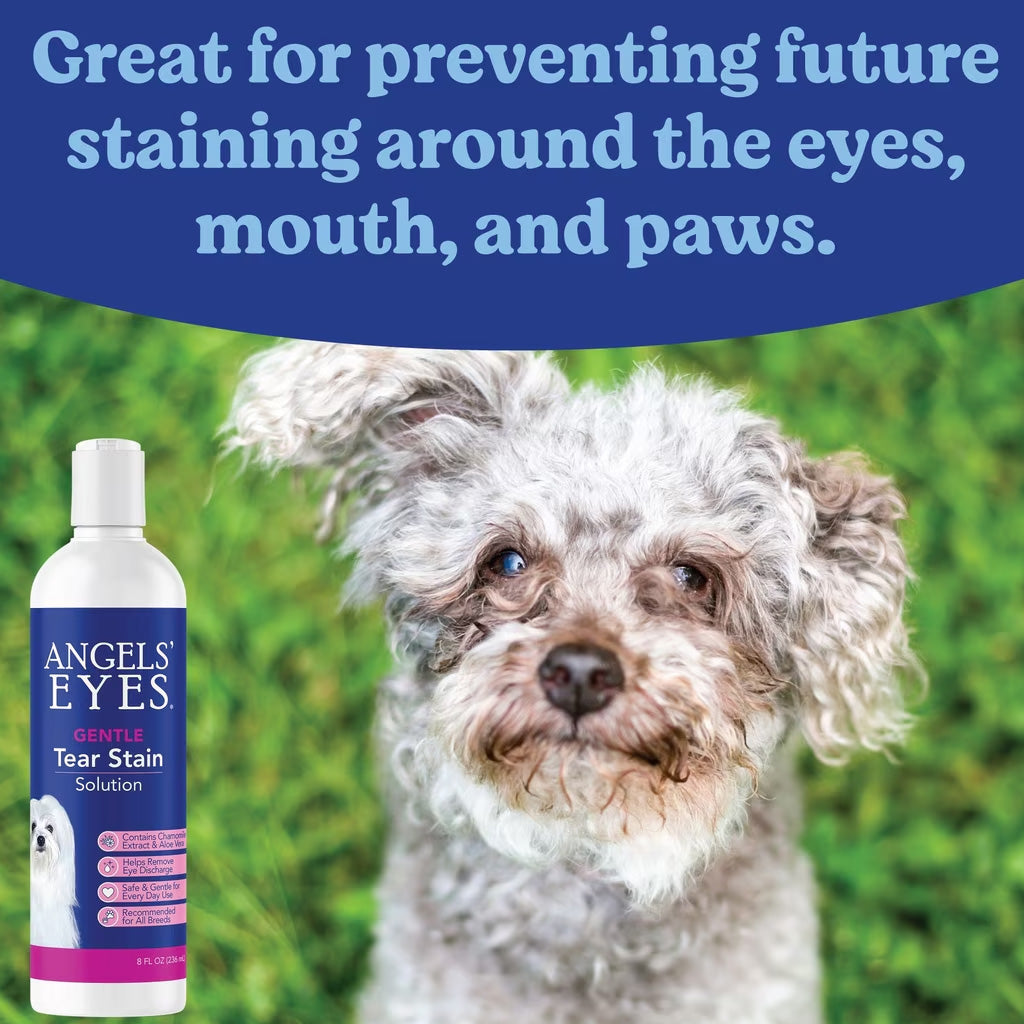Angel's Eyes Gentle Tear Stain & Coat Solution for Dogs, 8-oz