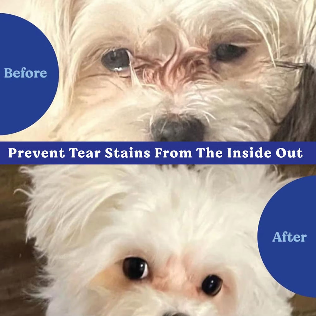 Angel's Eyes Natural Plus Soft Chews Tear Stain Supplement for Dogs
