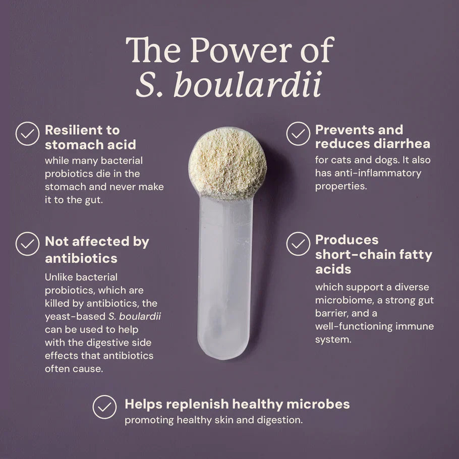 Animal Biome S.boulardii + FOS Probiotic + Prebiotic Powder for Dogs & Cats