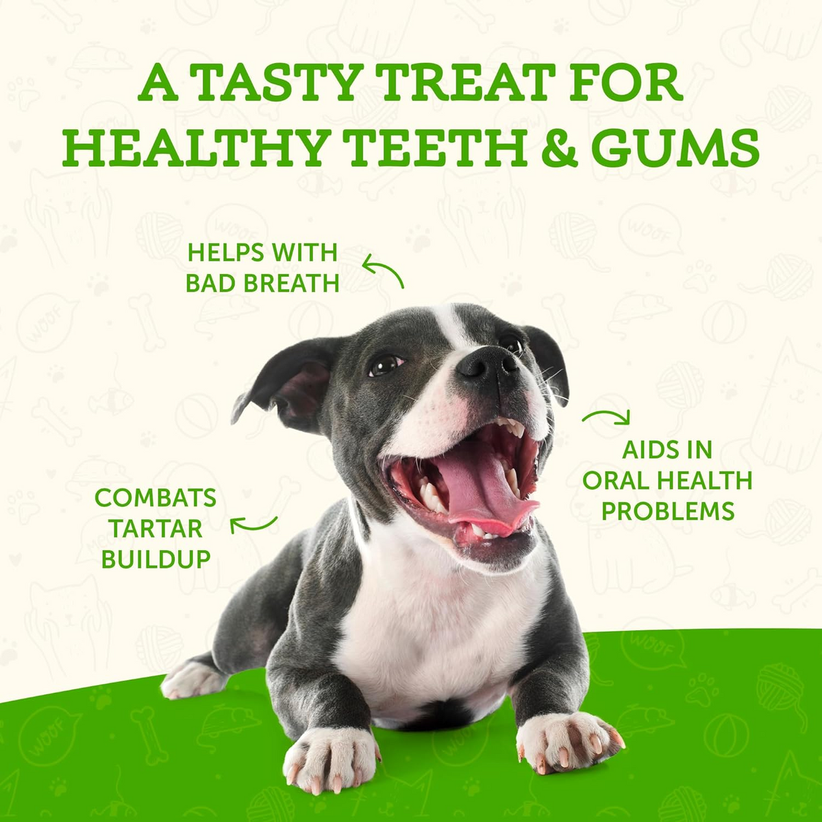 Animal Essentials Sea-Dent Anti-Plaque Powder for Dogs (2.5 oz)