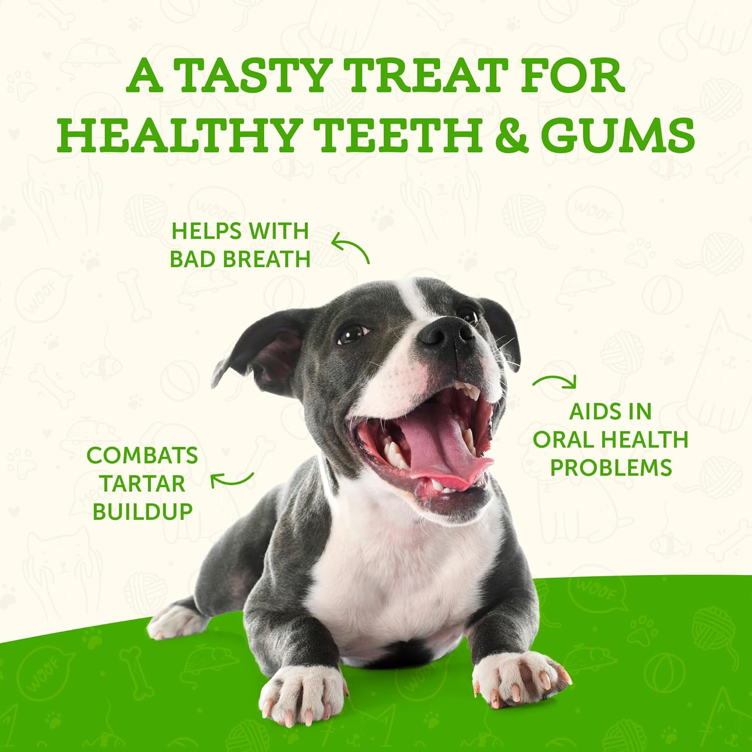 Animal Essentials Sea-Dent Anti-Plaque Powder for Dogs (2.5 oz)