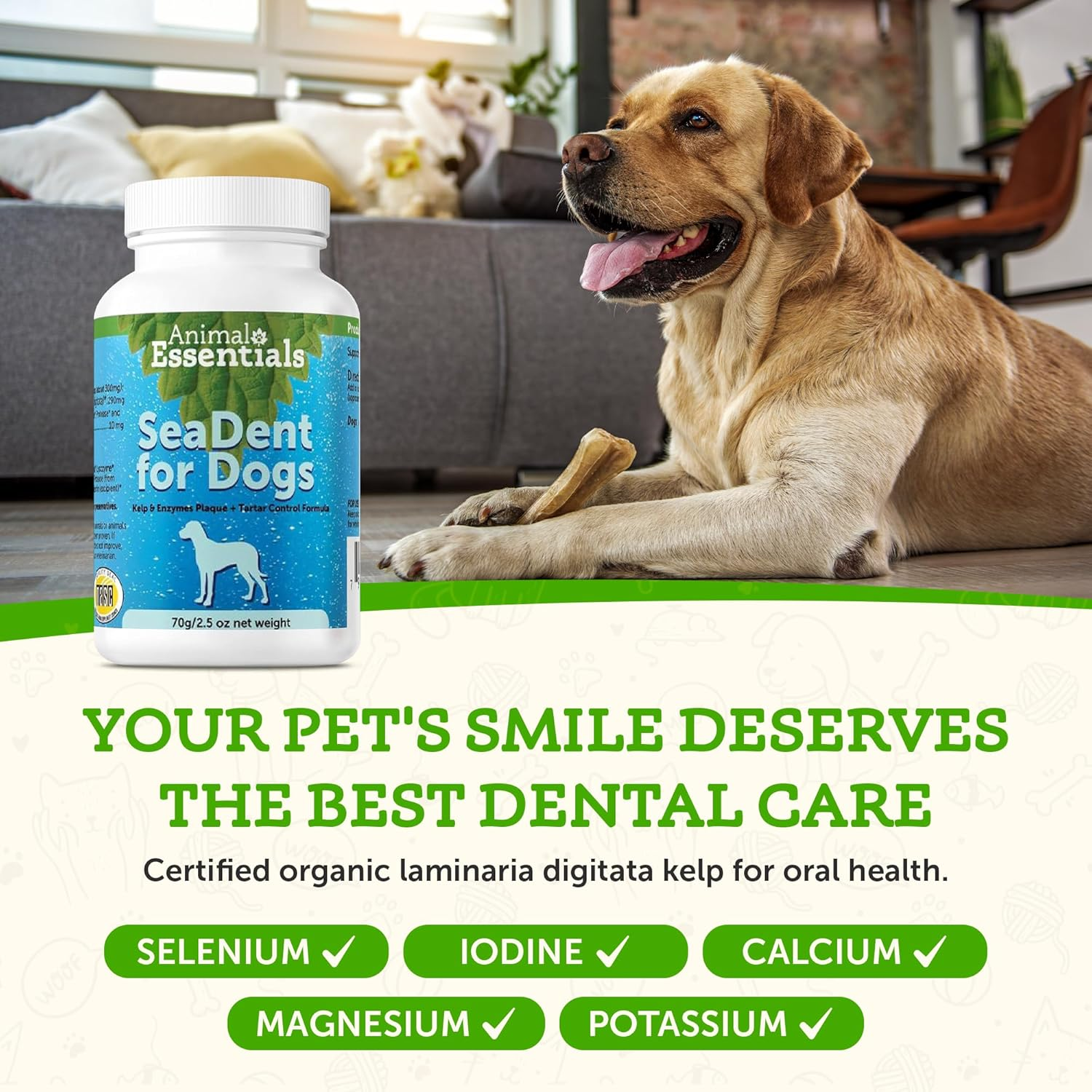 Animal Essentials Sea-Dent Anti-Plaque Powder for Dogs (2.5 oz)