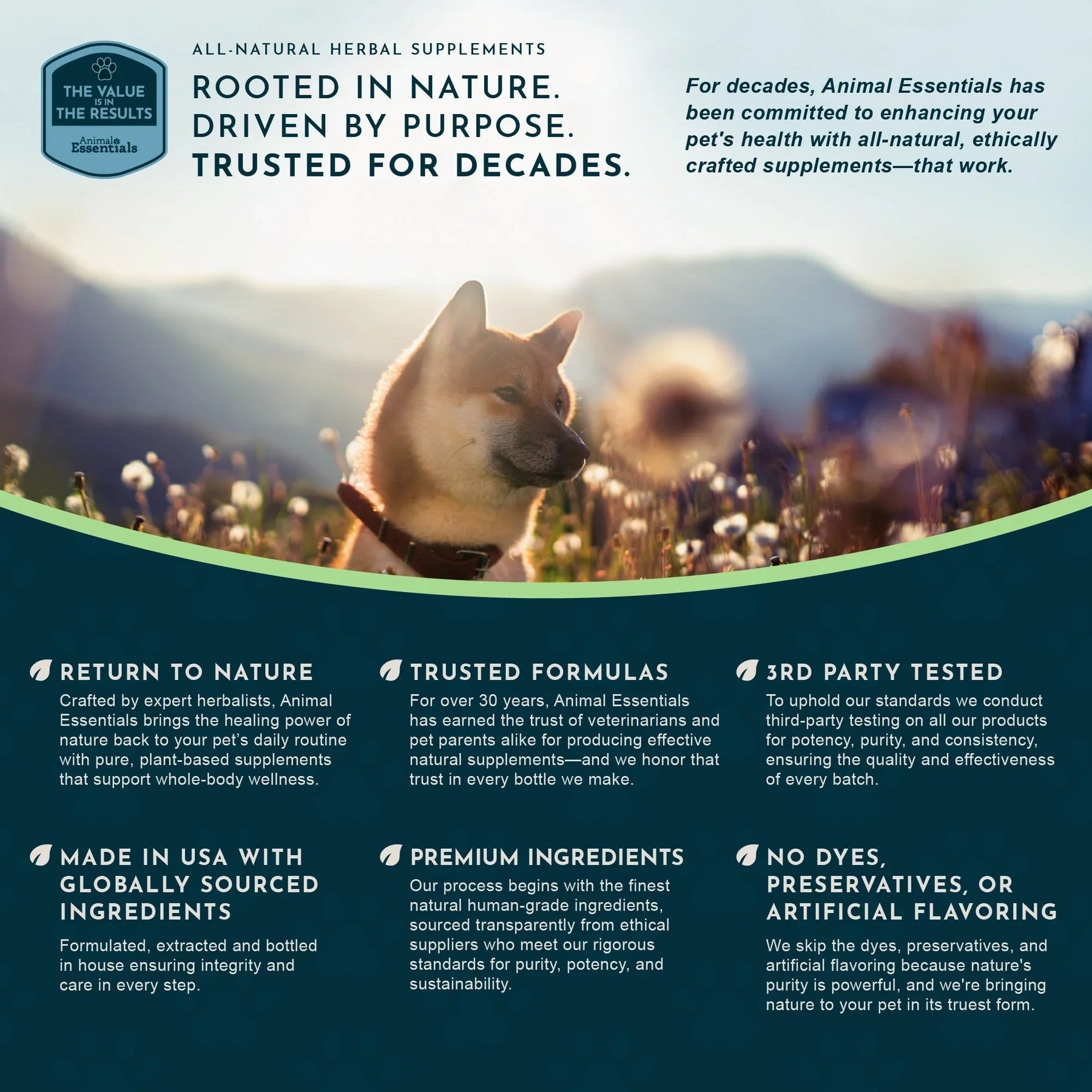 Animal Essentials Senior Support Herbal Tonic to Maintain Optimal Health for Dogs & Cats