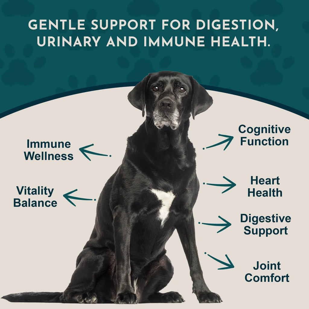 Animal Essentials Senior Support Herbal Tonic to Maintain Optimal Health for Dogs & Cats