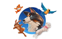 Discount Pets