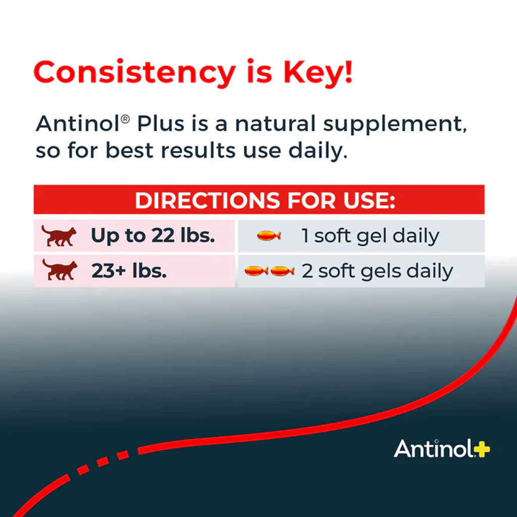 Antinol+ Plus Enhanced Daily Joint and Mobility Support for Cats, 30 Soft Gels