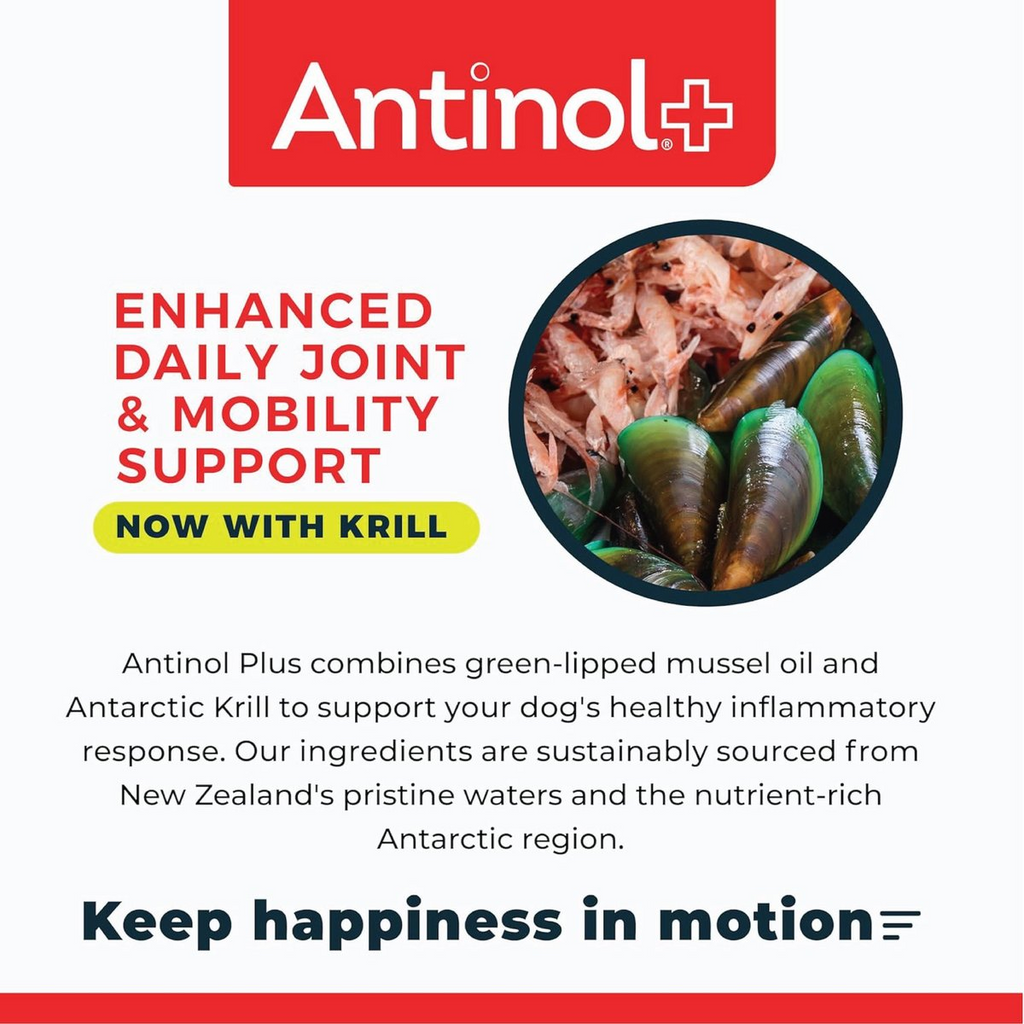 Antinol Plus for Dogs - Hip & Joint Mobility Supplement Capsules