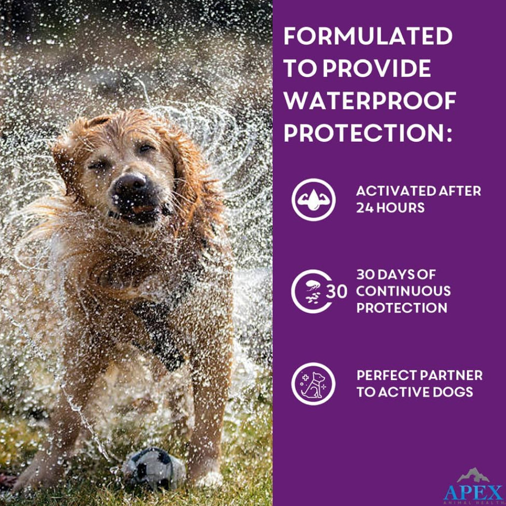 Apex Plus Topical Flea & Tick Prevention for Dogs, 45-88 lbs, 3 Doses