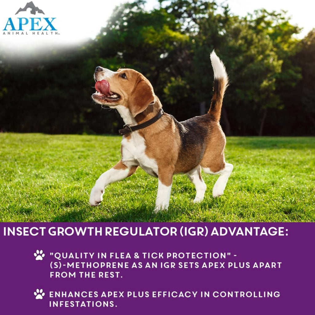 Apex Plus Topical Flea & Tick Prevention for Dogs, 45-88 lbs, 3 Doses