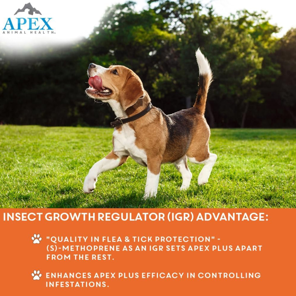 Apex Plus Topical Flea & Tick Prevention for Dogs, 5-22 lbs, 3 Doses