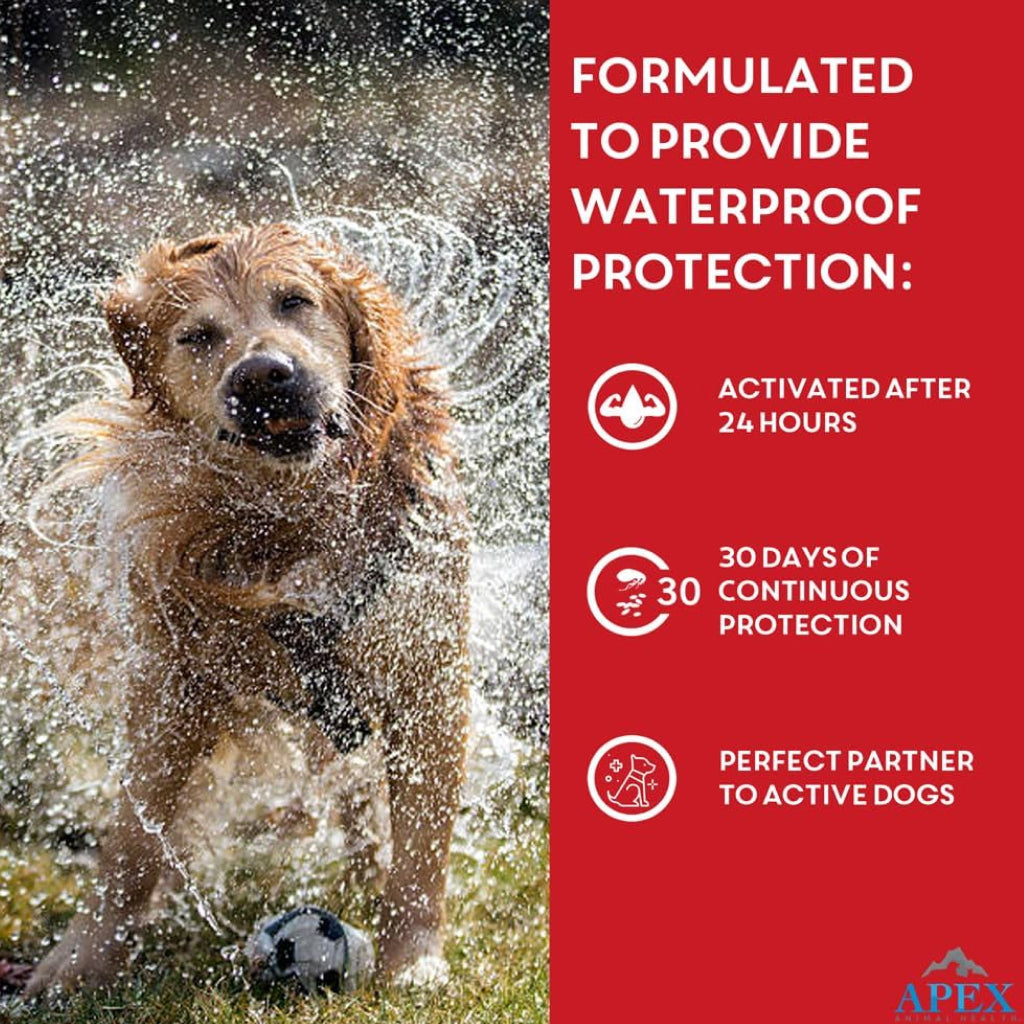Apex Plus Topical Flea & Tick Prevention for Dogs, 89-132 lbs, 3 Doses