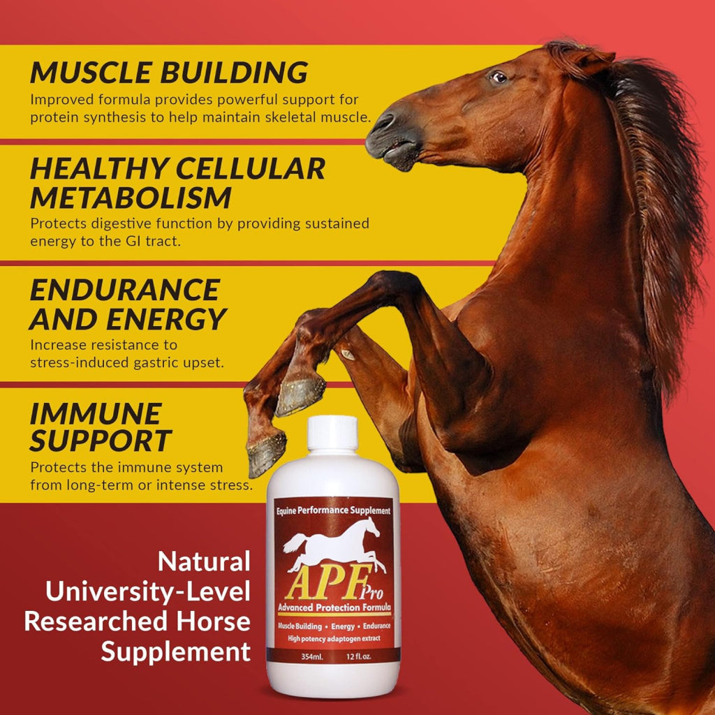 APF Pro Advanced Protection Formula Supplement for Horses (12 oz)