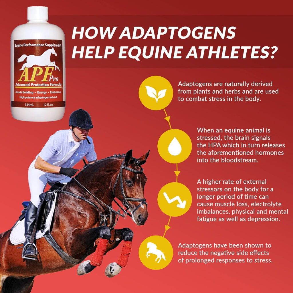 APF Pro Advanced Protection Formula Supplement for Horses (12 oz)