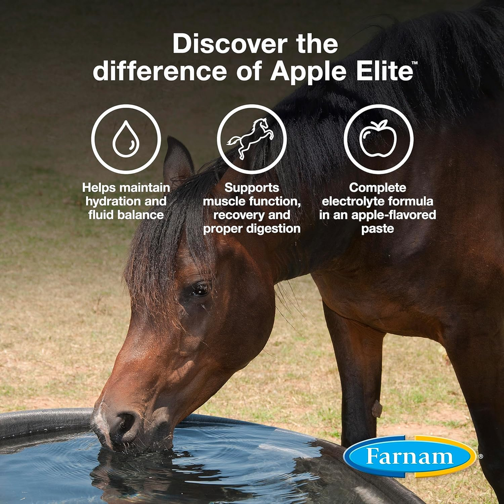 Apple Elite Electrolyte Paste Horse Supplement (60 ml)