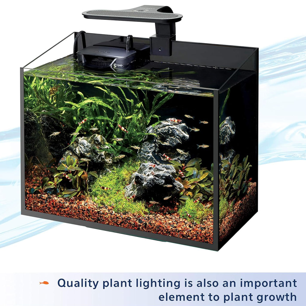Aqueon Aquarium Plant Nutrients Food