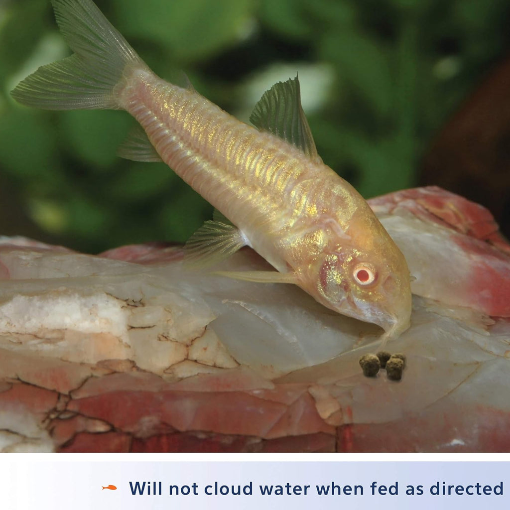 Aqueon Shrimp Pellets Fish Food