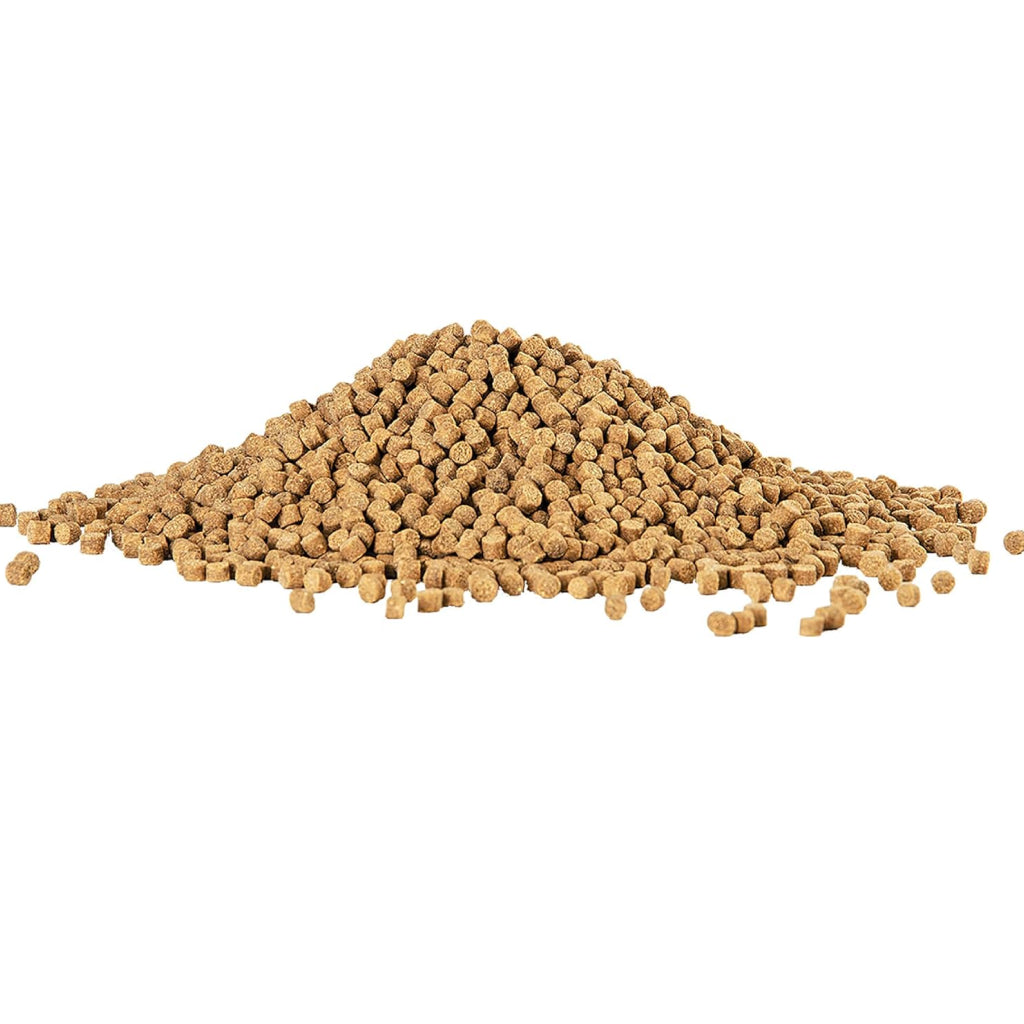 Aqueon Shrimp Pellets Fish Food
