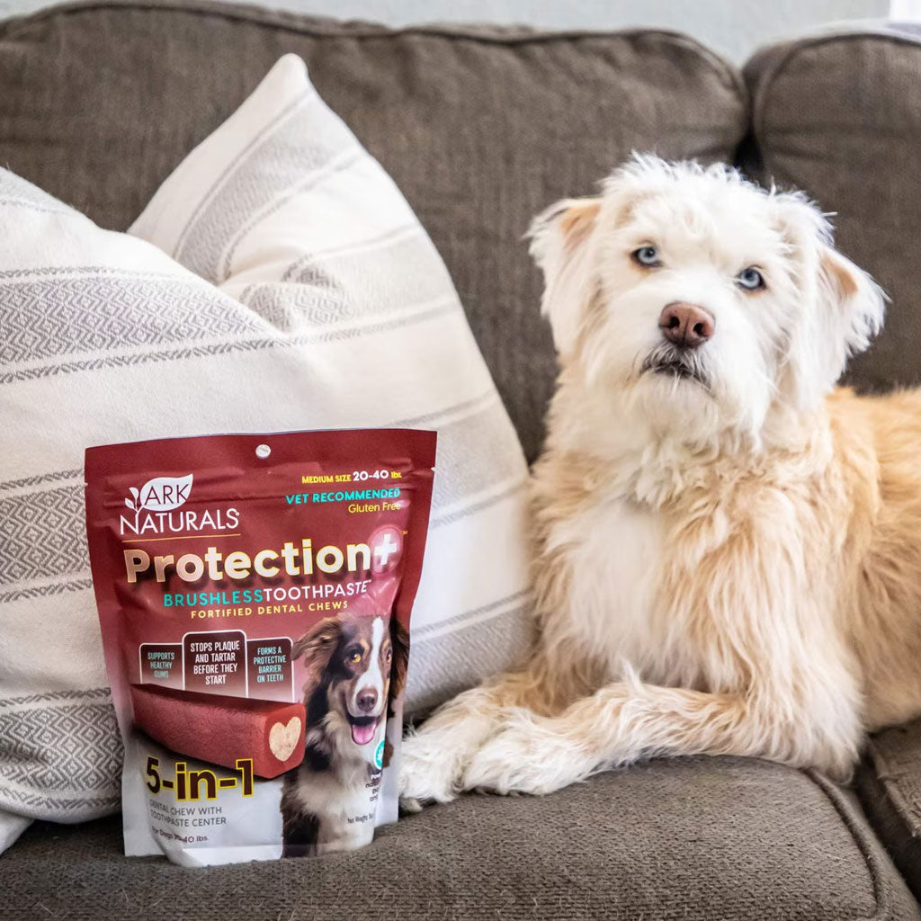 Ark Naturals 5-in-1 Protection  Brushless Toothpaste Dental Chews for Medium Breed Dogs, 18-oz