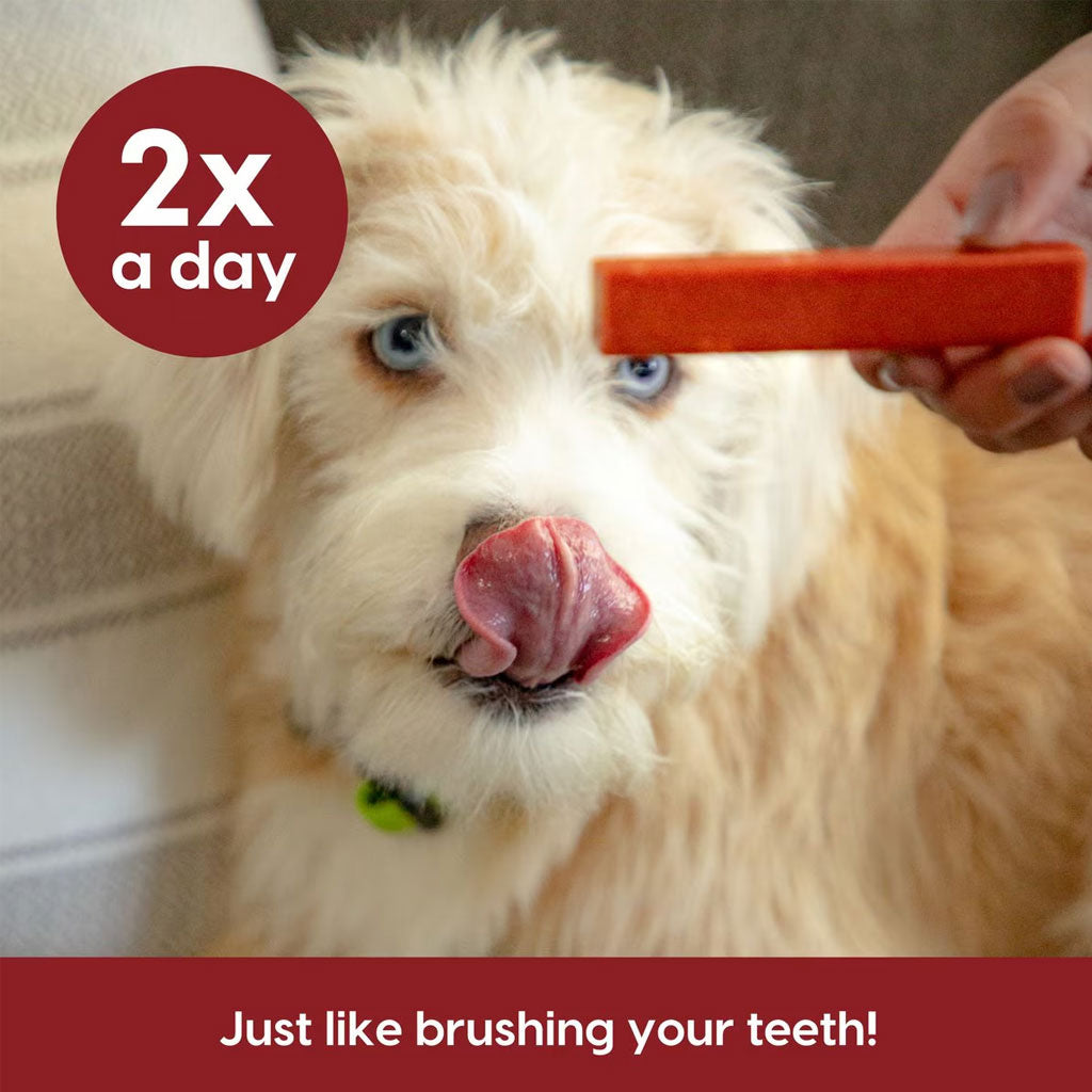 Ark Naturals 5-in-1 Protection  Brushless Toothpaste Dental Chews for Medium Breed Dogs, 18-oz