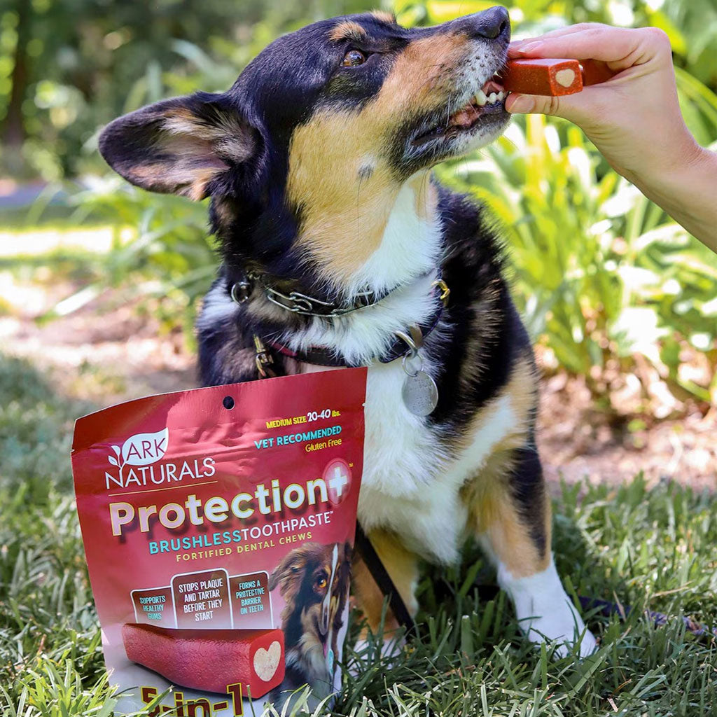 Ark Naturals 5-in-1 Protection  Brushless Toothpaste Dental Chews for Medium Breed Dogs, 18-oz