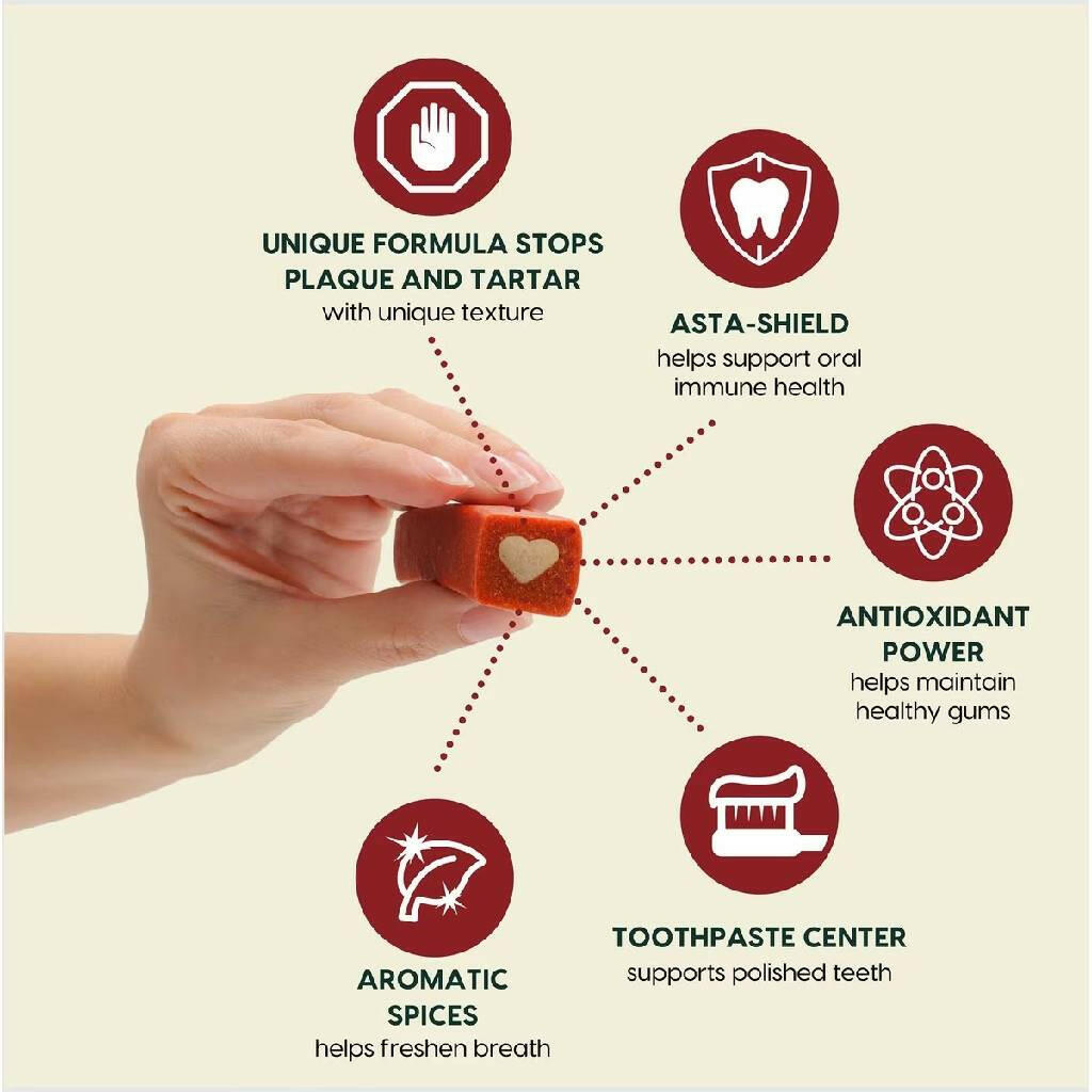 Ark Naturals 5-in-1 Protection Plus Fortified Brushless Toothpaste Chews for Large Dogs (18 oz)