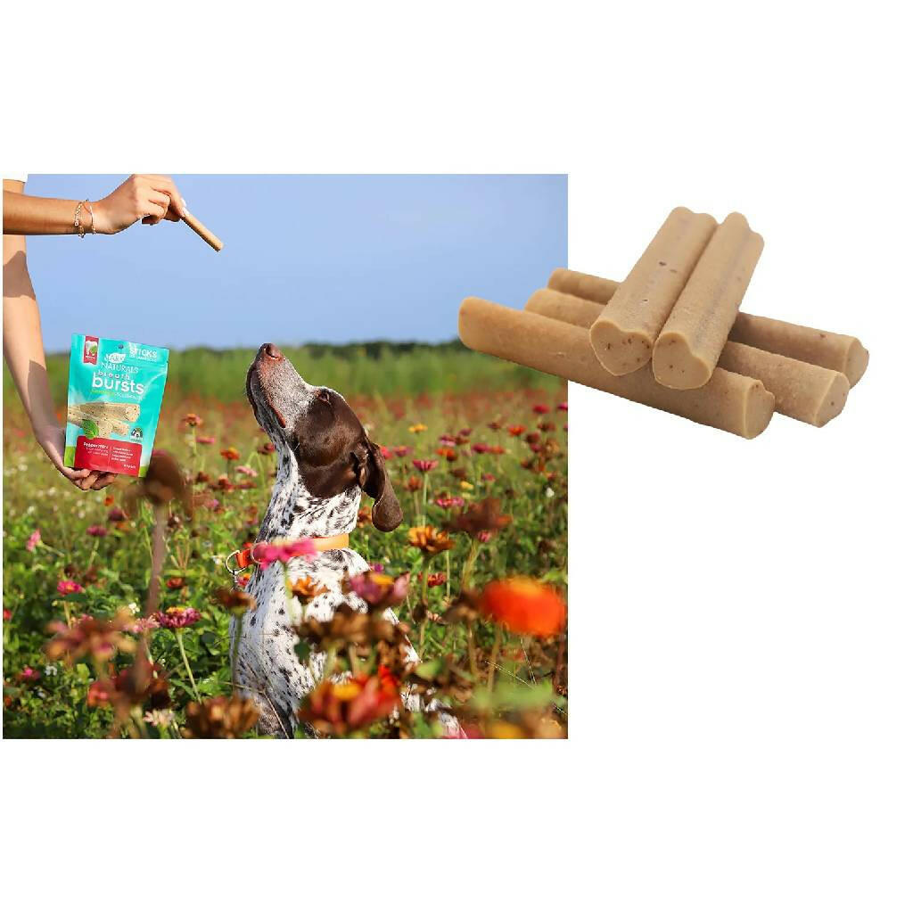 Ark Naturals Breath Bursts Brushless Toothpaste Peppermint Dental Sticks for Large Dogs (6 oz)