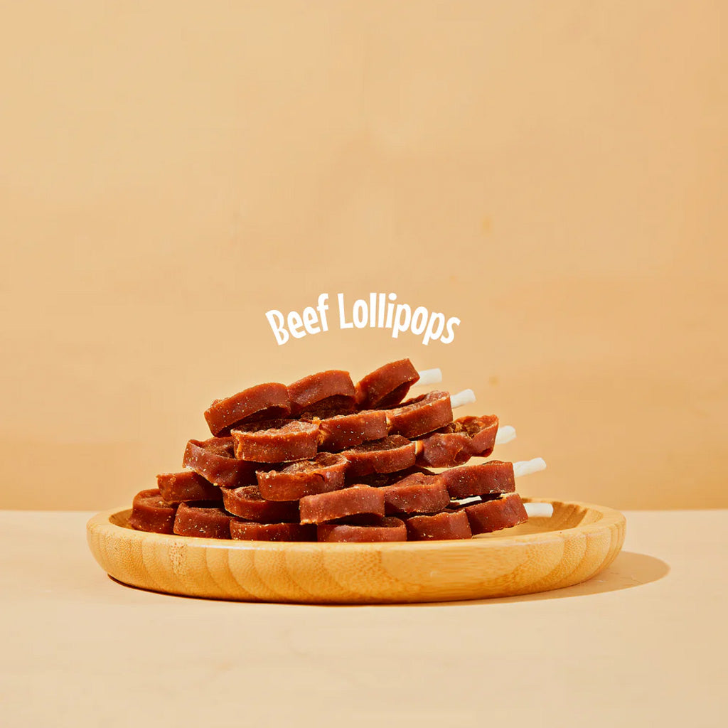 Arya Sit Dental Chew Beef Lollipop for Dogs & Cats