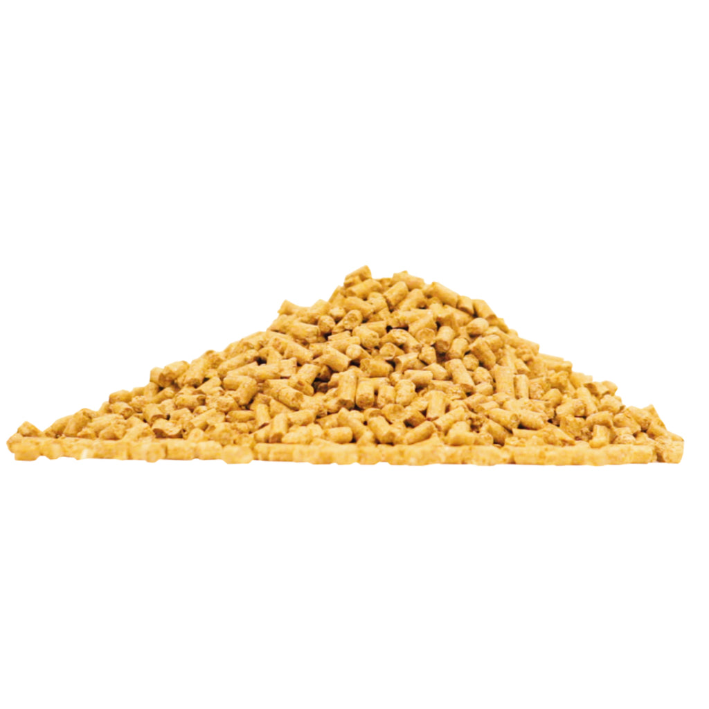 Assure Guard Gold Digestive Aid for Horses