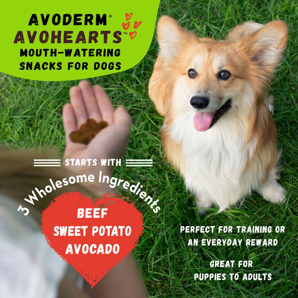 AvoDerm Natural AvoHearts Natural Dog Treats (5 oz)