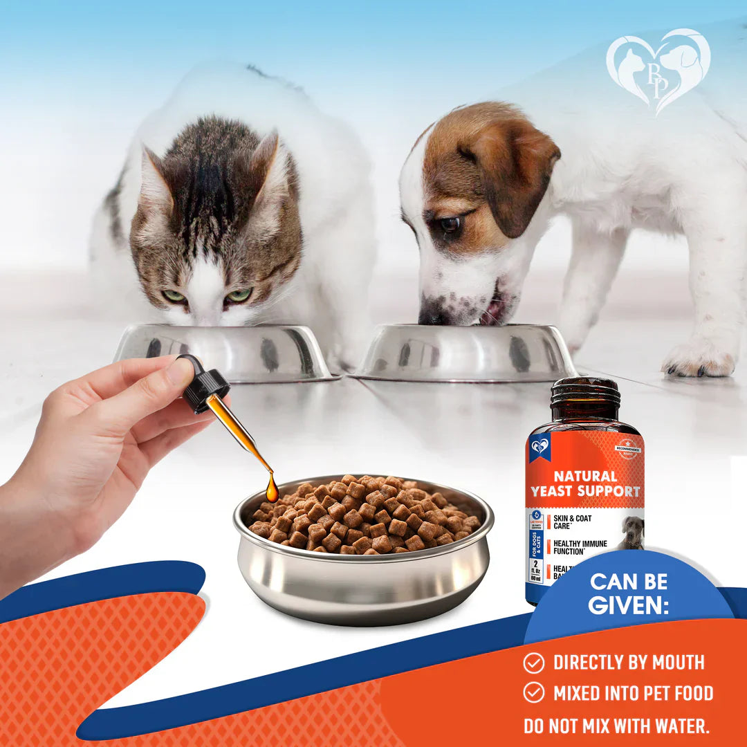 Beloved Pets Natural Yeast Infection Relief Immune & Inflammation Support for Dogs (2 oz)