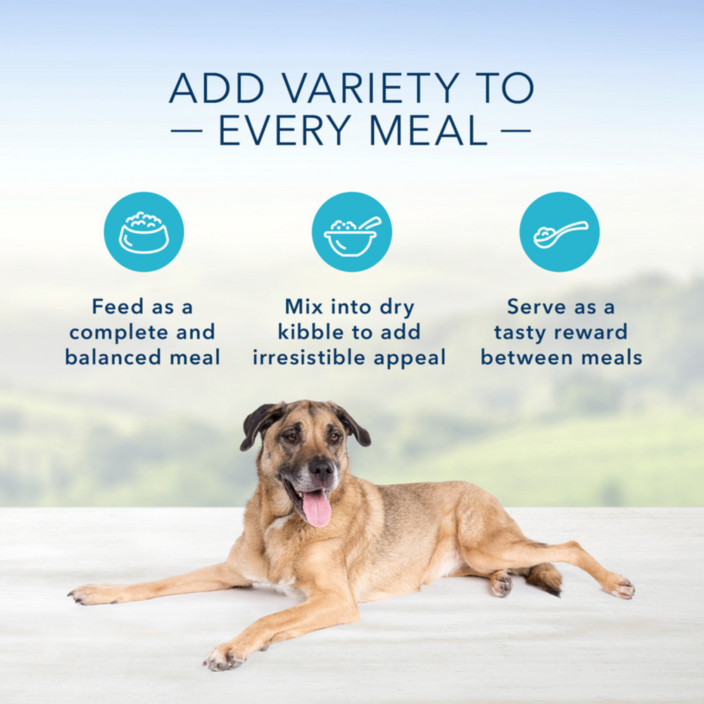 Blue Buffalo Homestyle Recipe Senior Chicken Dinner with Garden Vegetables Canned Dog Food, 12.5-oz, case of 12