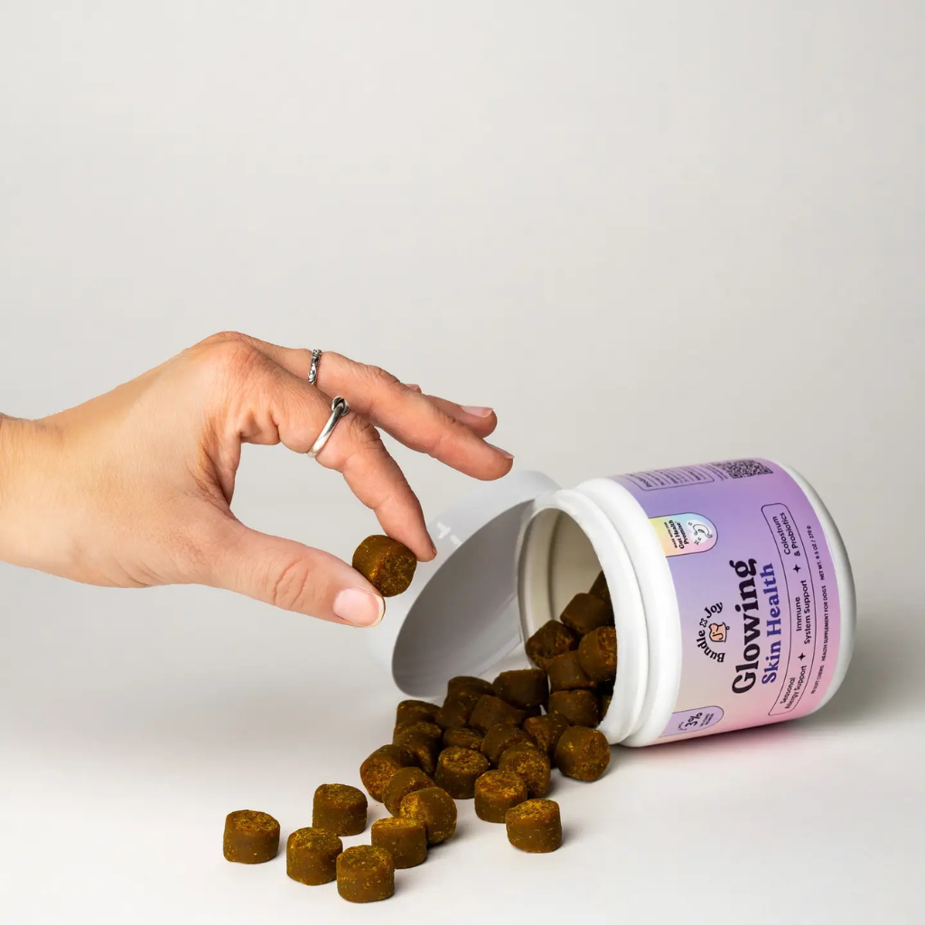 Bundle x Joy Glowin Skin Health Supplement for Dogs (90 soft chews)