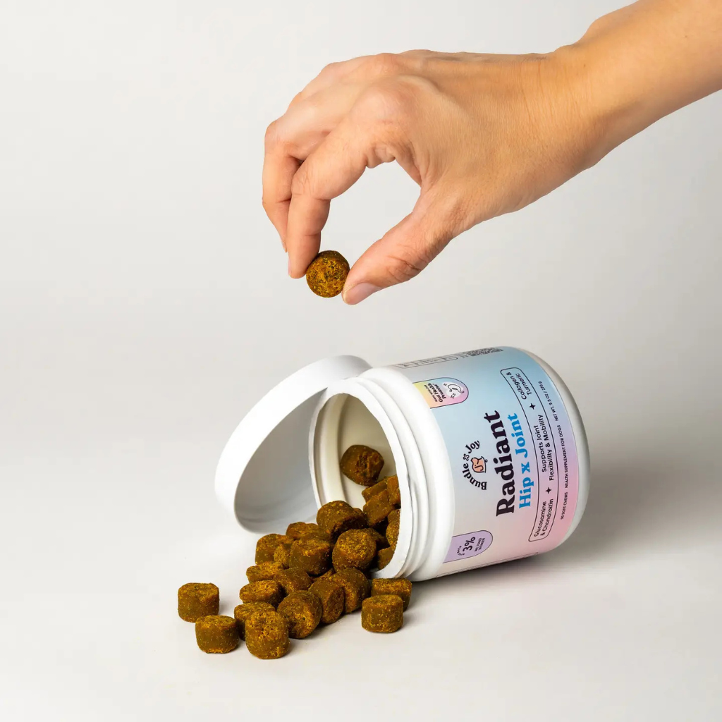Bundle x Joy Radiant Hip& Joint Supplement for Dogs (90 soft chews)