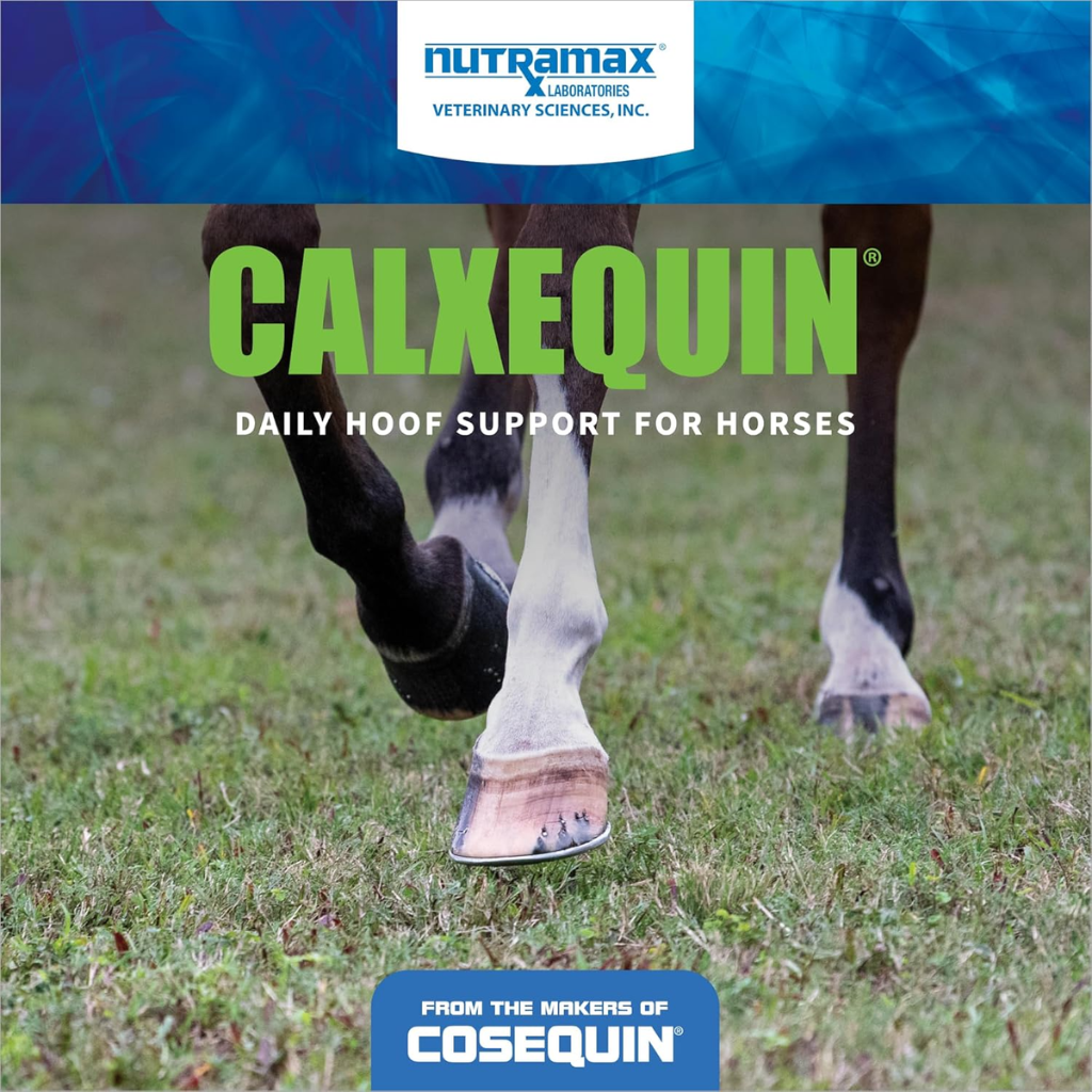 Calxequin Daily Hoof Support Pellets For Horses (1260 grams)