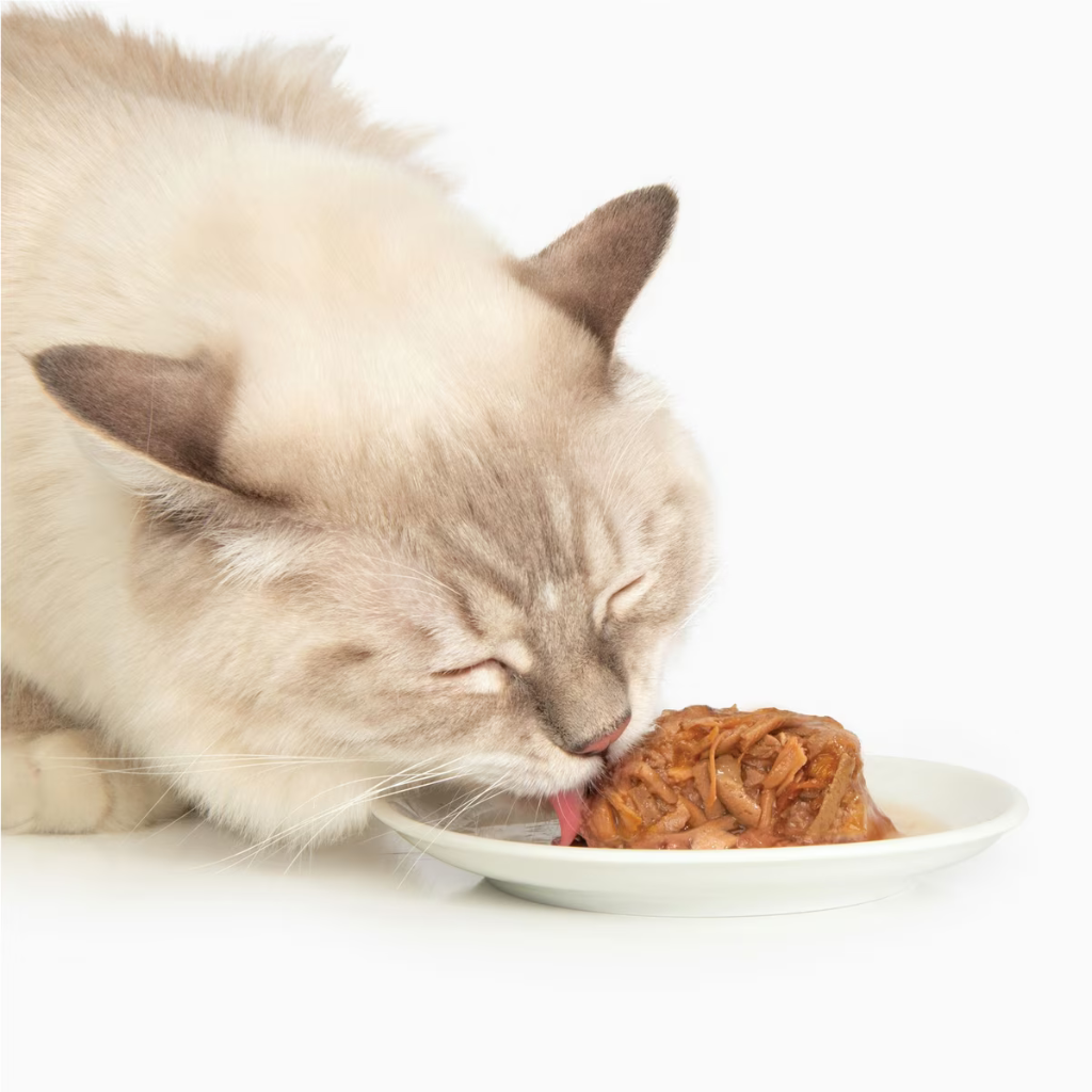 Catit Chicken Dinner with Tuna & Kale Wet Cat Food (2.8 oz)