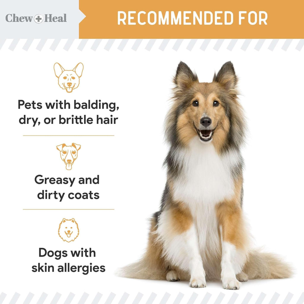 Chew + Heal Omega Skin + Coat Supplement for Dogs (180 soft chews)