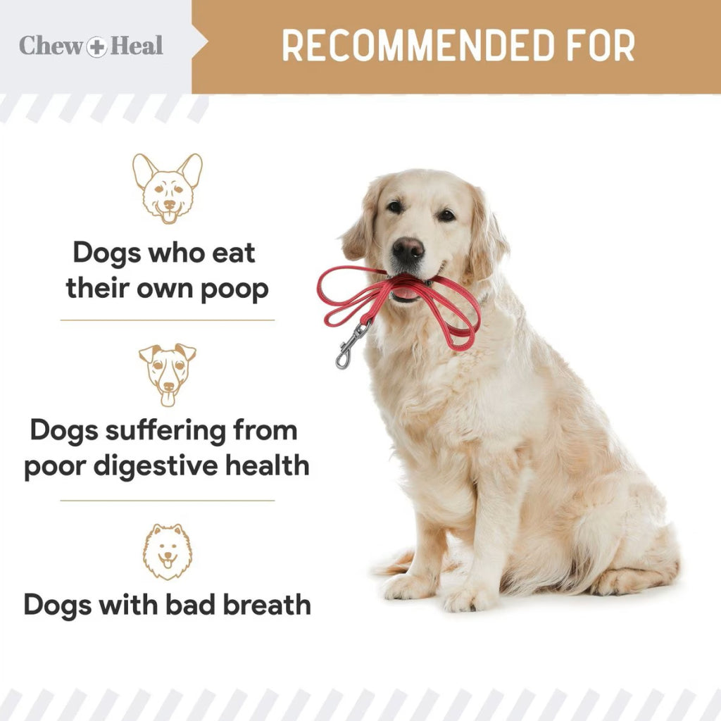 Chew + Heal Stop the Poo Chew Coprophagia Supplement for Dogs- Peanut Butter Flavor (120 Counts)