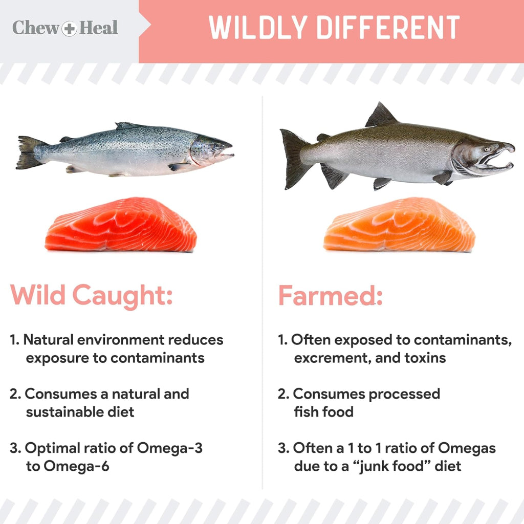 Chew + Heal Wild Alaskan Salmon Oil Formula for Healthy Skin and Coat For Dogs
