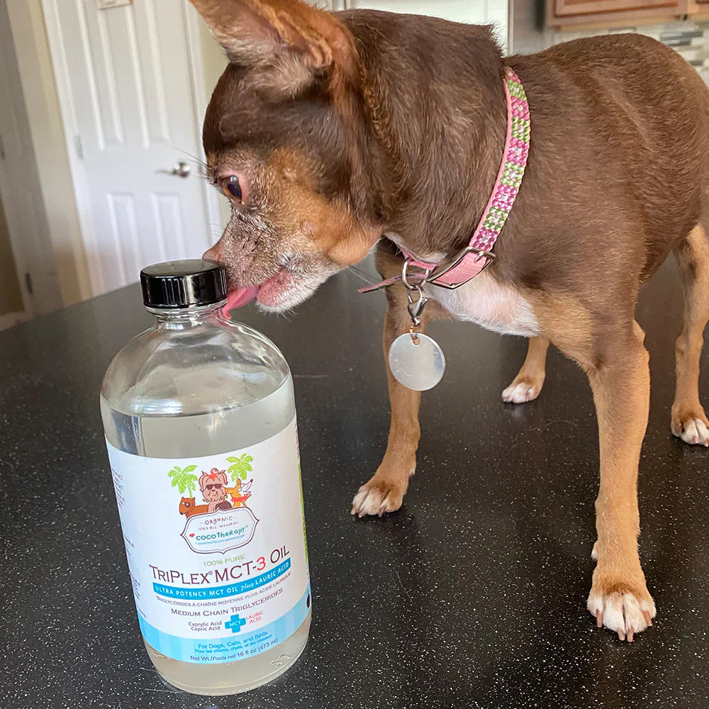 Cocotherapy TriPlex MCT-3 Oil for Dogs, Cats & Birds